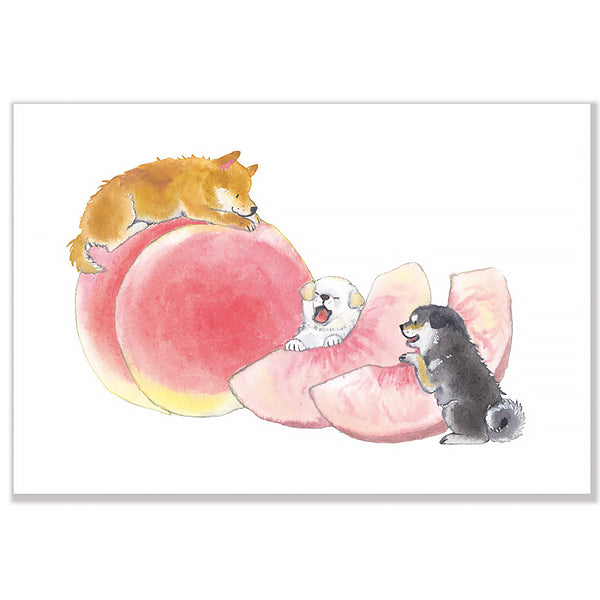 Carte de Vœux Shiba Inu - Papeterie Kawaii | Moshi Moshi Paris Japan