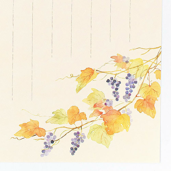 Papier à Lettre Ippitsusen - Autumn Honoka | Moshi Moshi Paris 