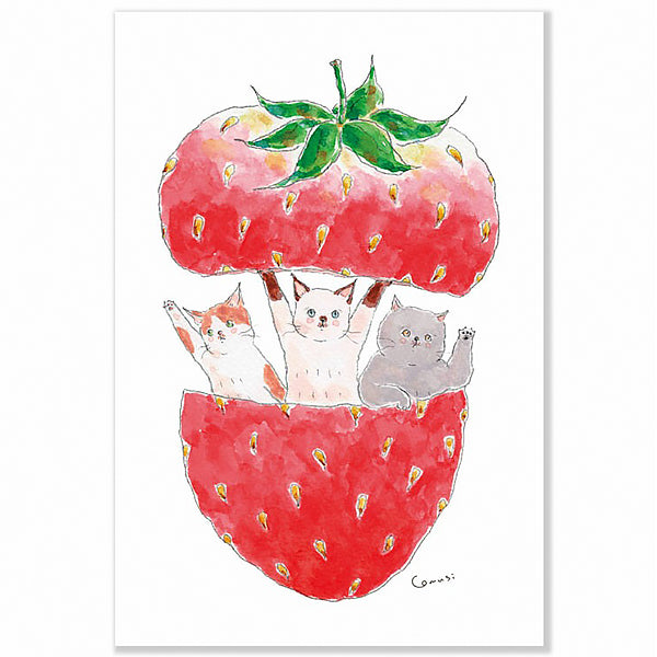 Carte Postale Kawaii - Chat Tokorokomugi Fraise | Moshi Moshi Paris