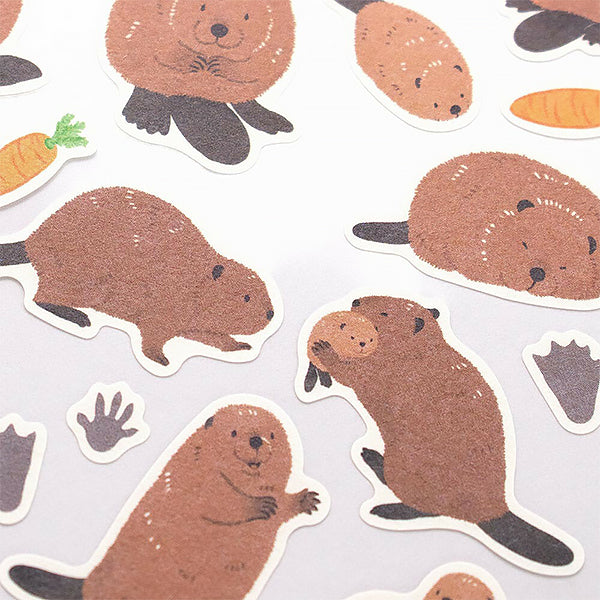 Stickers Zoom in Animals - Capybara | Moshi Moshi Paris Papeterie